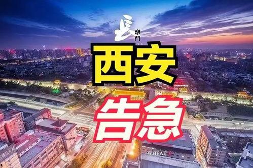 陕西最新爆料,揭秘古城神秘事件背后的真相